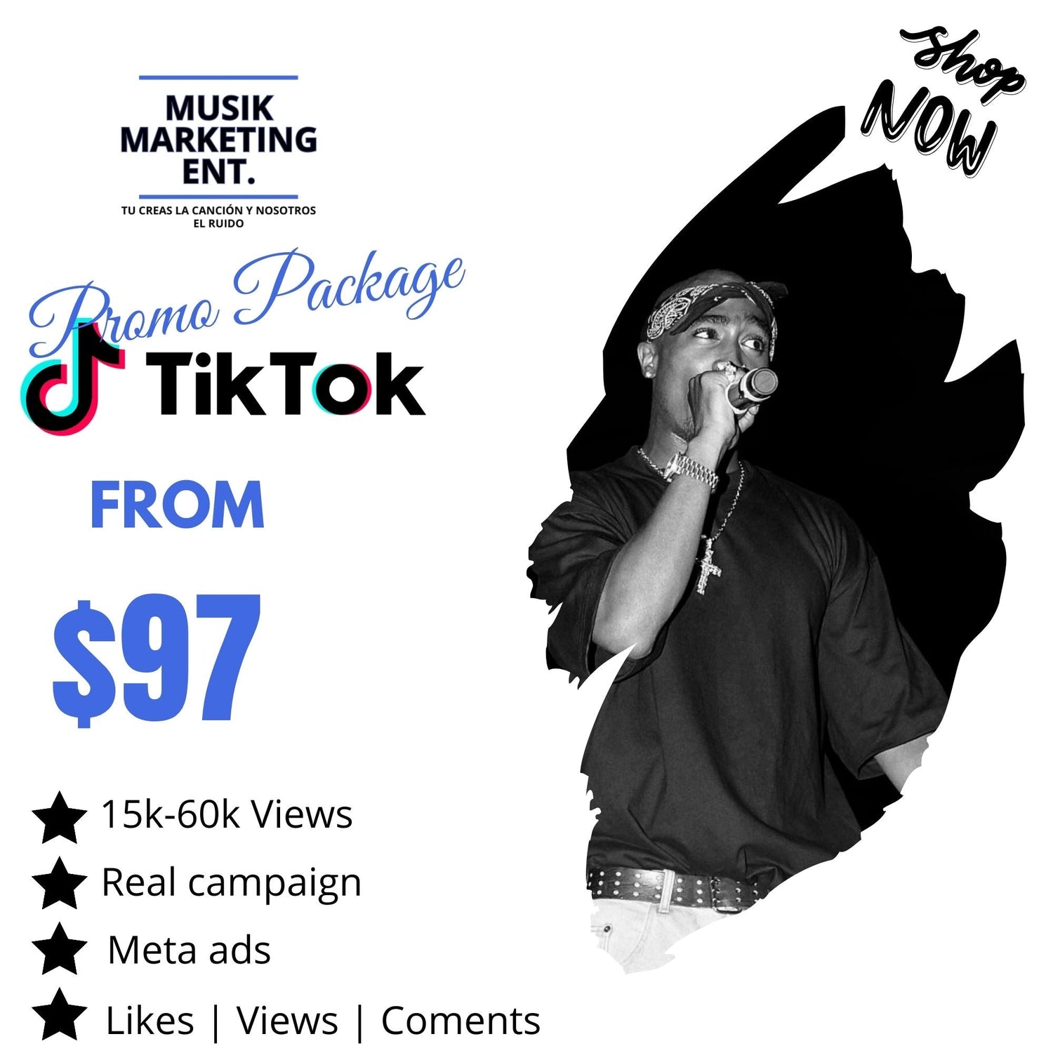 TikTok Promotion