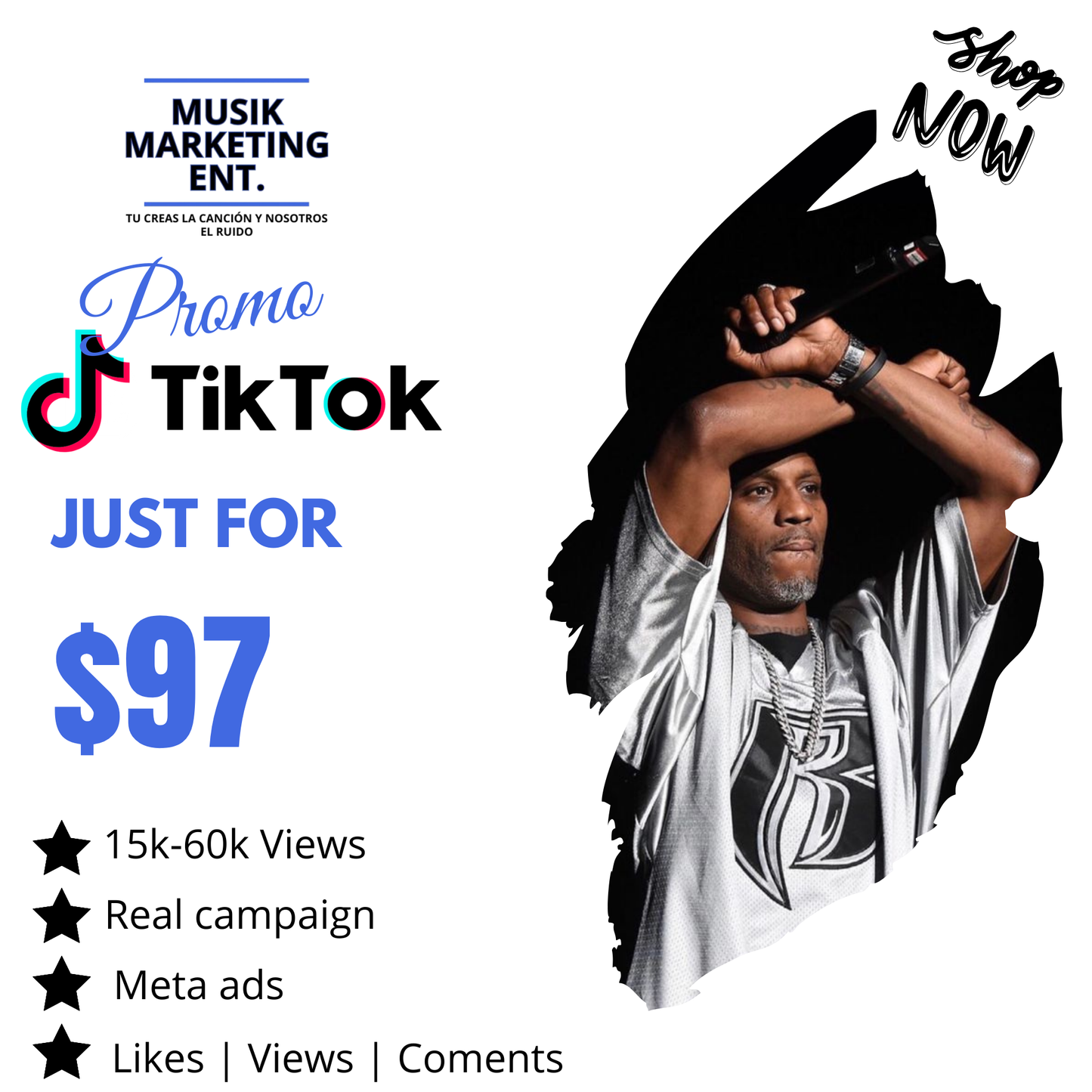 Bronze Tik Tok Ads [~15k-60k+ video views]